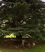 449.jpg