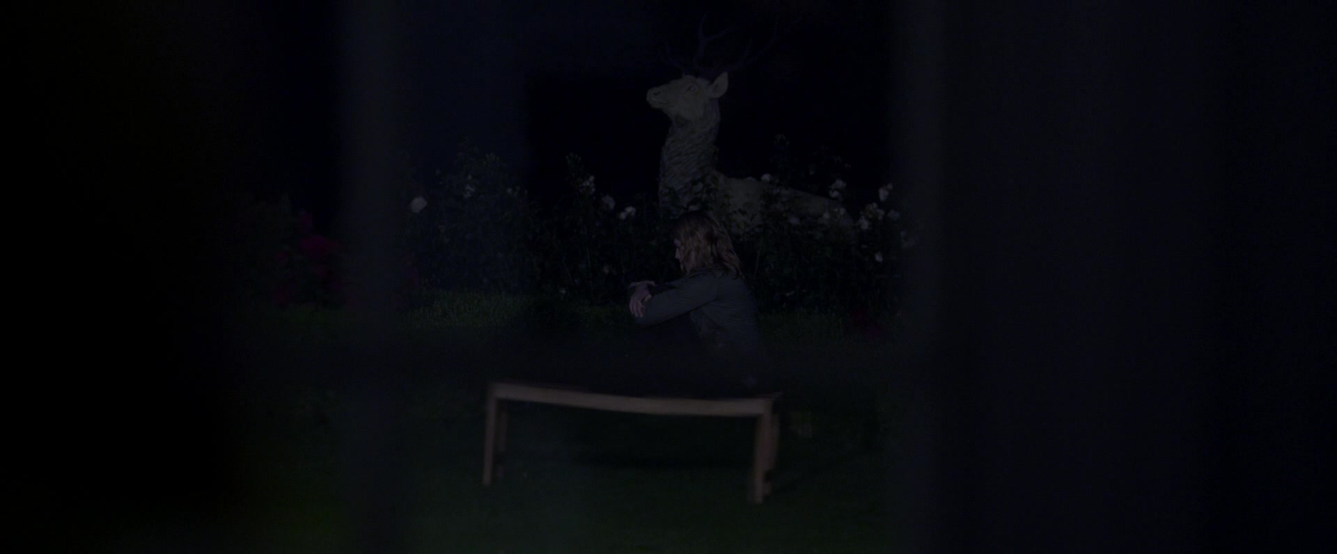 00605.jpg 00605.jpg