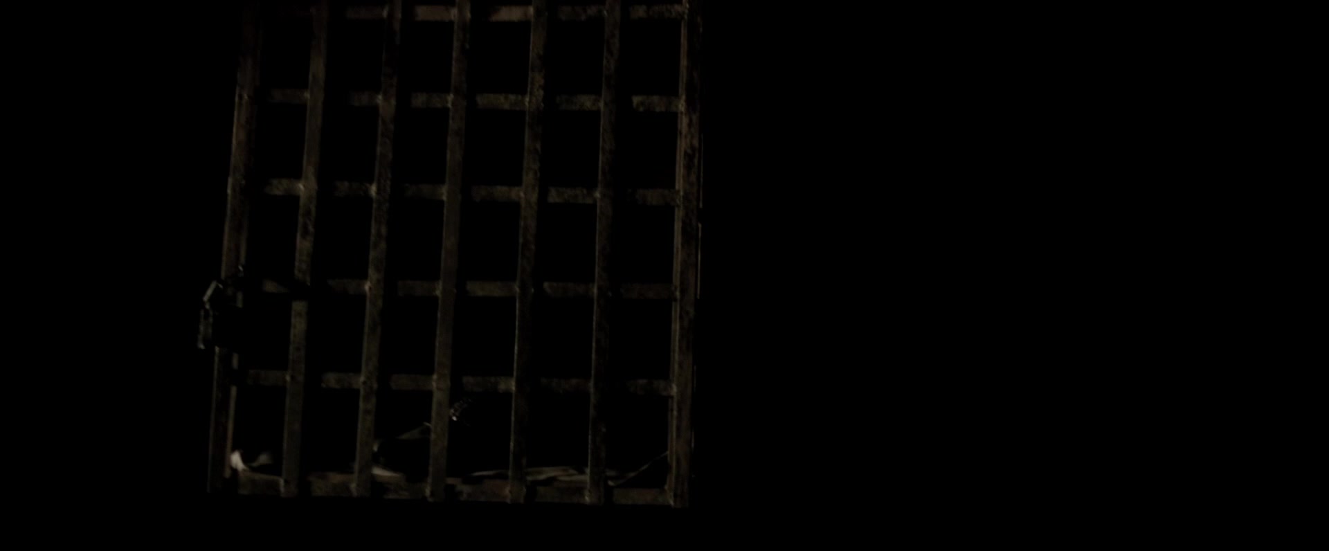 00956.jpg