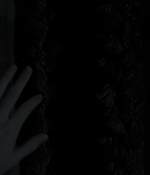 00470.jpg