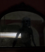 00498.jpg