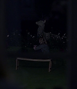 00604.jpg