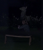 00605.jpg