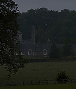 00803.jpg