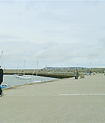 431.jpg