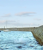 454.jpg