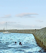 455.jpg