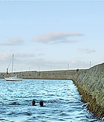 456.jpg