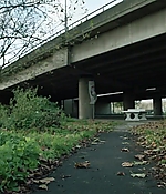266.jpg