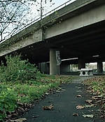 267.jpg