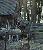 341.jpg
