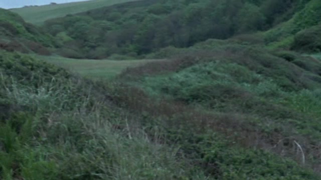 169.jpg 169.jpg