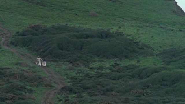 240.jpg 240.jpg