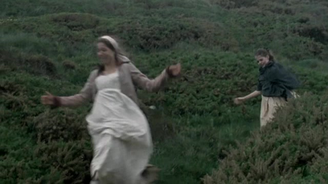 251.jpg 251.jpg