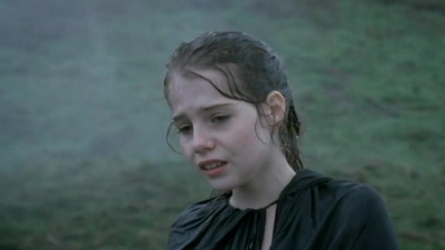 263.jpg 263.jpg