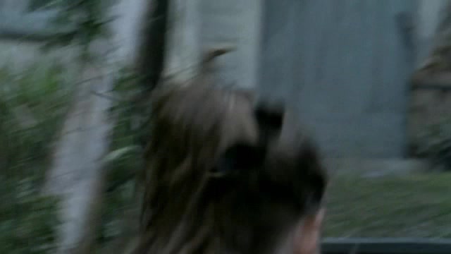 268.jpg 268.jpg