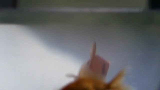 305.jpg 305.jpg