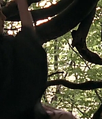 103.jpg