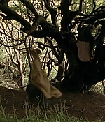104.jpg