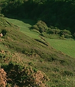 110.jpg